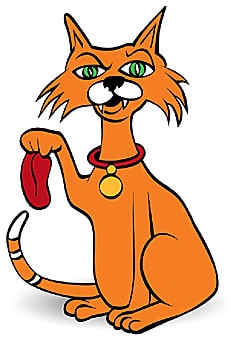 Cat got your tongue